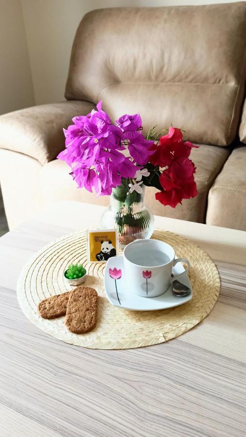 Botanic Suite Málaga Extérieur photo