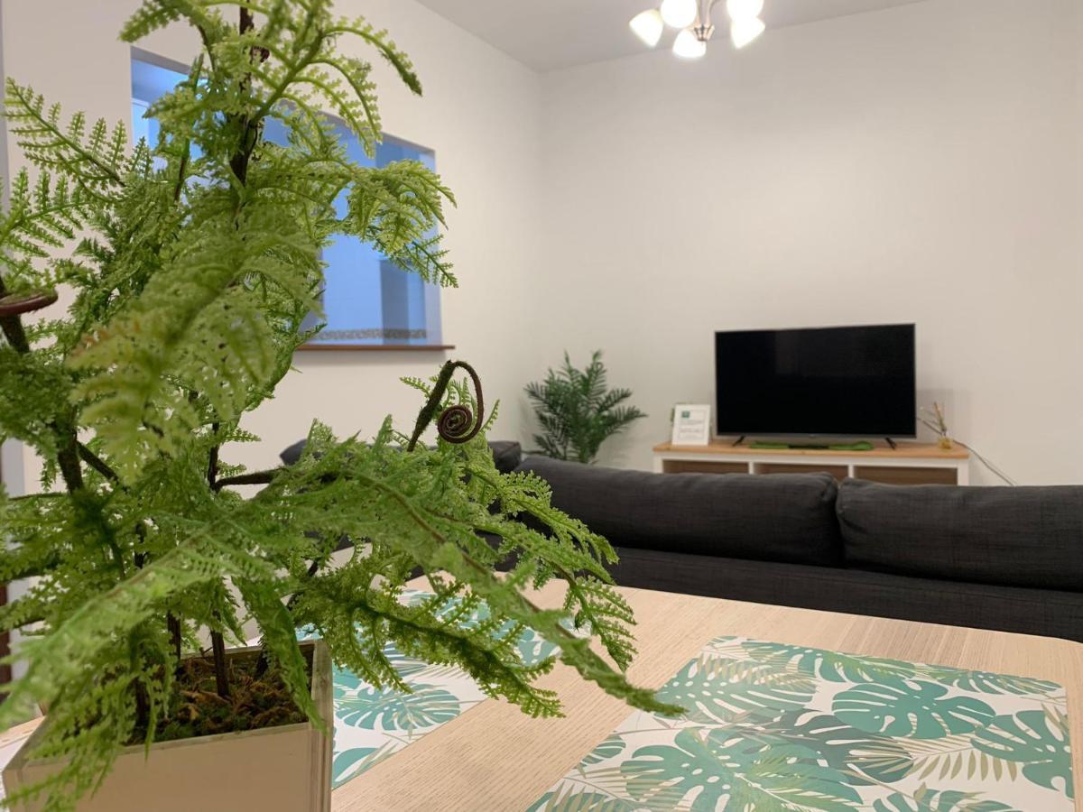 Botanic Suite Málaga Extérieur photo